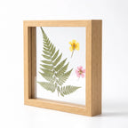 Hallstatt double glass floating frame in natural oak tone with a pressed fern