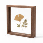 Hallstatt double glass floating frame in walnut tone with pressed leaves