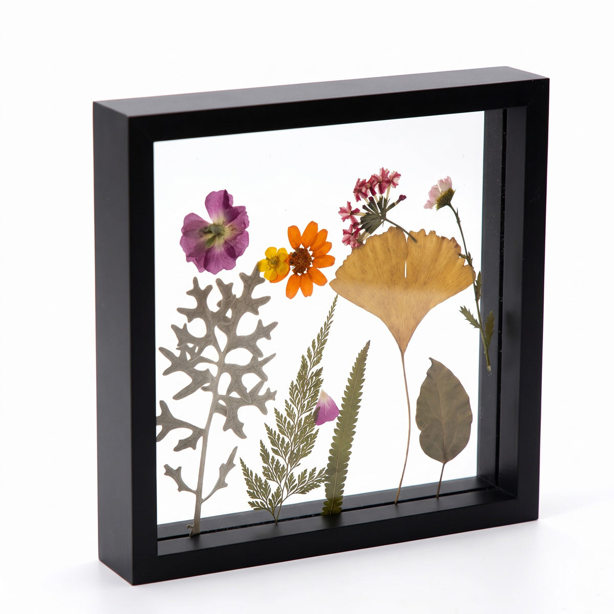 Hallstatt double glass floating frame in black with pressed wildflowers