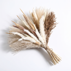 Juist dried pampas bouquet, natural cream
