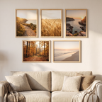 Five Hornbaek frames as a gallery wall above a sofa