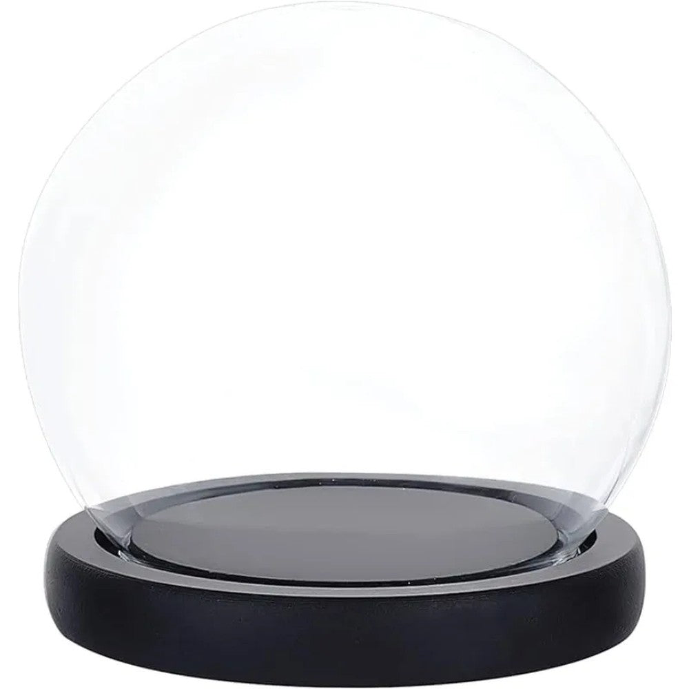 Prerow glass display cloche on a black wood base, on white