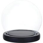 Prerow glass display cloche on a black wood base, on white