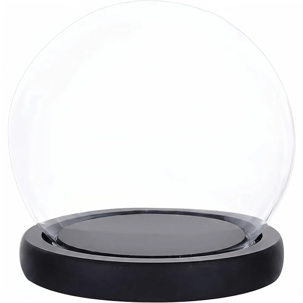 Prerow glass display cloche on a black wood base, studio shot on white
