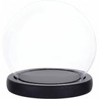 Prerow glass display cloche on a black wood base, studio shot on white