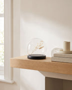 Prerow glass cloche with dried grasses on an oak shelf